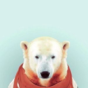 Meet your Posher, Damus